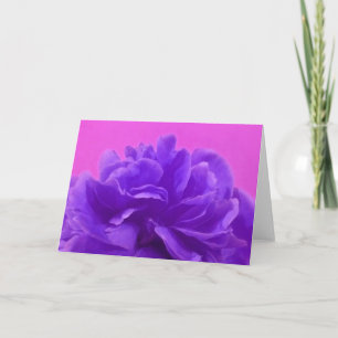 Elegant Lila Raspberry Blommigt Kort