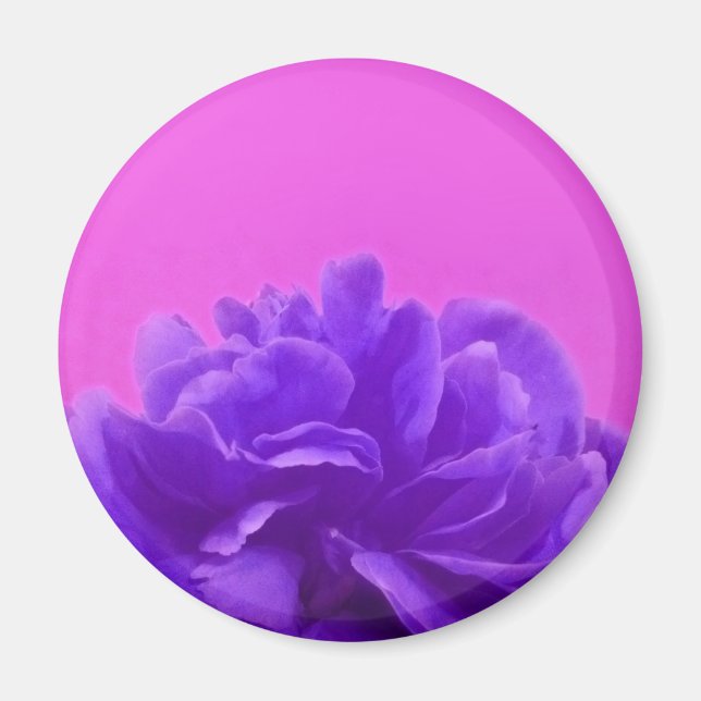 Elegant Lila Raspberry Blommigt Magnet (Framsidan)
