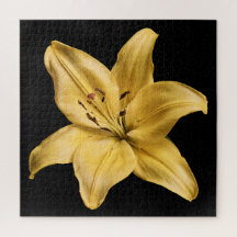 Elegant Lily Kollektion på Svart
