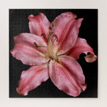 Elegant Lily Kollektion på Svart