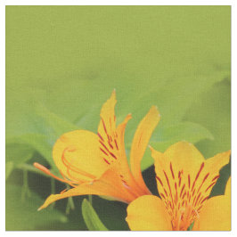 Elegant Lily of the Incas / Gult Alstroemeria Tyg