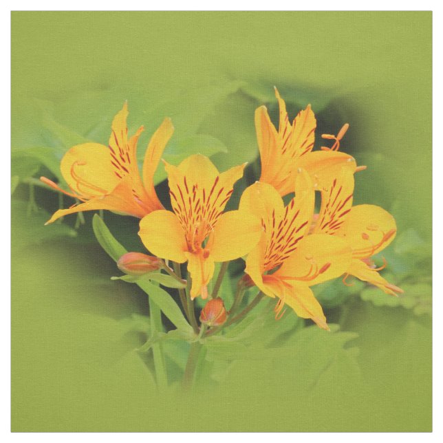 Elegant Lily of the Incas / Gult Alstroemeria Tyg (Provkarta)