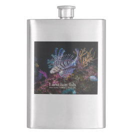 Elegant Lionfish Fickplunta