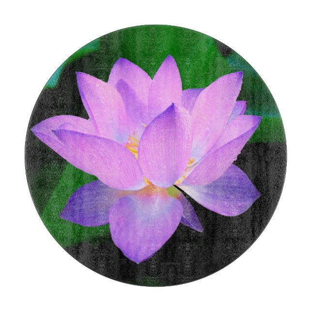 Elegant Lotus Flower (Framsidan)