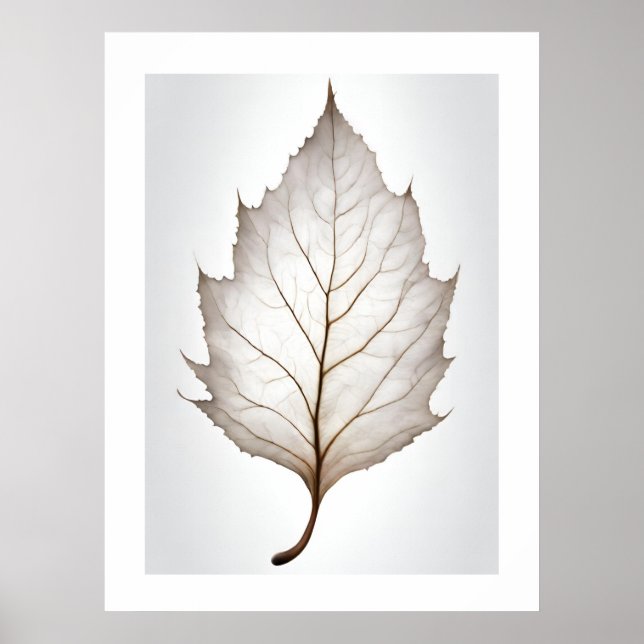 Elegant Löv Natures Vein Artprint Poster (Framsidan)