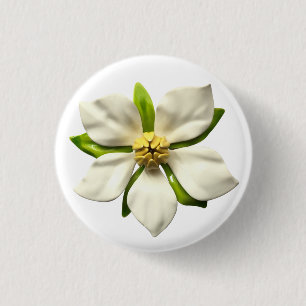 Elegant Magnolia Blommar Flower Vår bröllop MCM Knapp