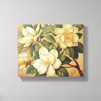 Elegant Magnolia Blossoms Wall Art Canvastryck