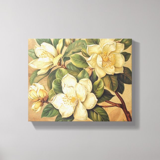 Elegant Magnolia Blossoms Wall Art Canvastryck (Framsida)