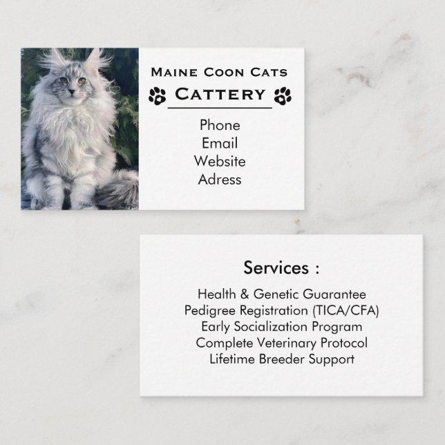 Elegant Maine Coon Uppfödning & Professionell Uppf Visitkort (Fram/baksida)