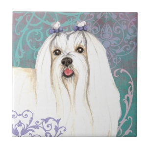 Elegant maltesiska kakelplatta