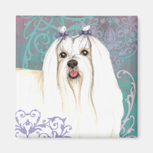 Elegant maltesiska magnet