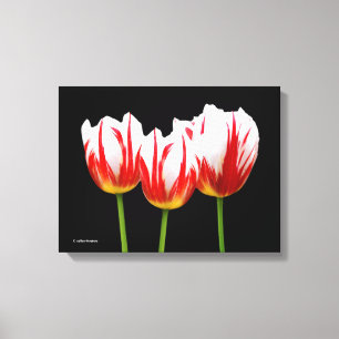 Elegant Maple Löv Tulips Canvastryck