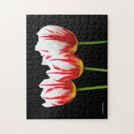 Elegant Maple Löv Tulips Pussel