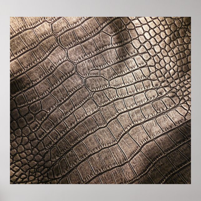 Elegant med närbeklädnad: Texturerat Mönster Poster (Framsidan)