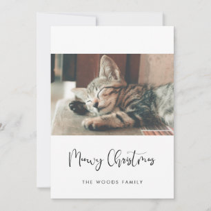 Elegant Meowy jul Kat-foto Julkort
