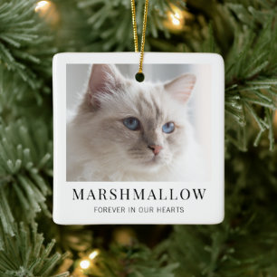 Elegant minimalistisk modern kattfoto-minnesmärke julgransprydnad keramik