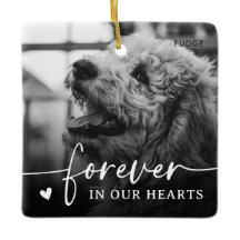 Elegant minnesgåva för husdjur hund foto