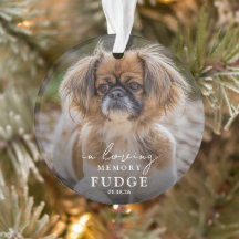 Elegant Minnesmärke För Hund - Foto
