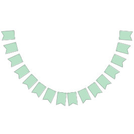 Elegant mintgrön bunting banner vimplar