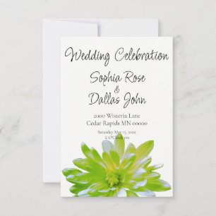 Elegant mjuk daisy för ljust grönt blommigt bröllo inbjudningar