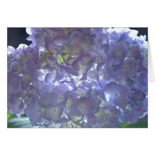 Elegant mjuk lila blommigt lila hydrangeus hälsningskort