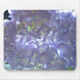 Elegant mjuk lila blommigt lila hydrangeus musmatta