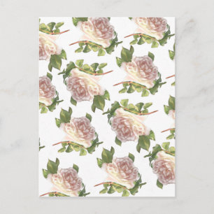 elegant mjuk rosa vit ros vykort