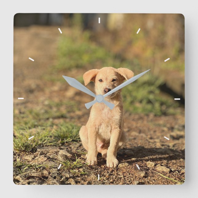 Elegant Modern Custom Wall Clock Add Your Own  Fyrkantig Klocka (Framsida)