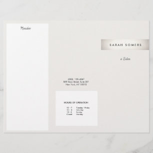 Elegant Modern FAUX Silver Stripe Salon Brochure