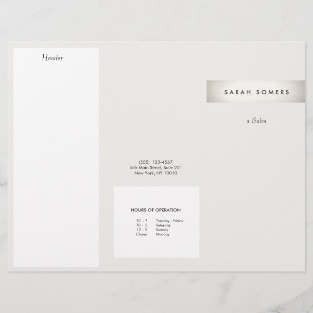 Elegant Modern FAUX Silver Stripe Salon Brochure (Framsida)