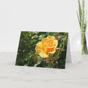 Elegant Modern fotosympati för Gul ros-blomma Kort