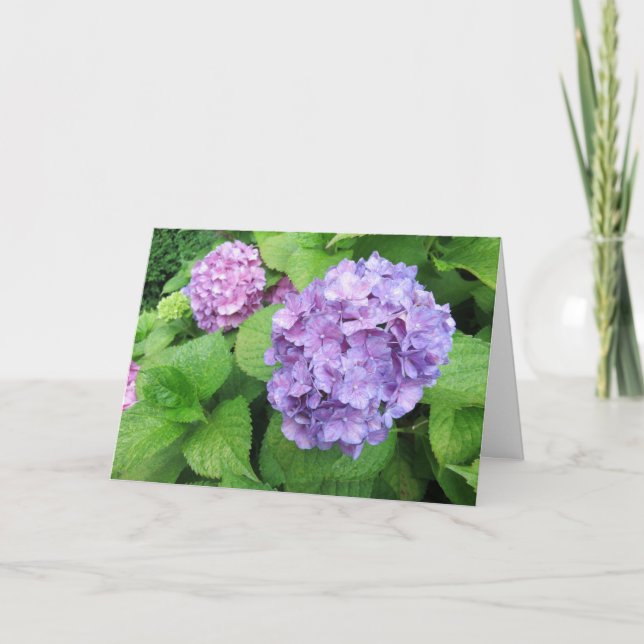 Elegant Modern Lila Hydrangeas Fotosympati Kort (Framsida)
