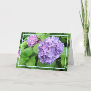 Elegant Modern Lila Hydrangeas Fotosympati Kort