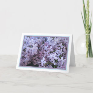 Elegant Modern Lila Lilac Flowers Photo Get well Kort