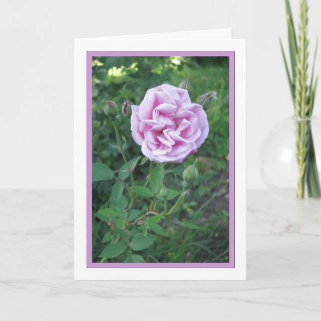 Elegant Modern Lila Ro Flower Photo Sympathy Kort (Framsida)