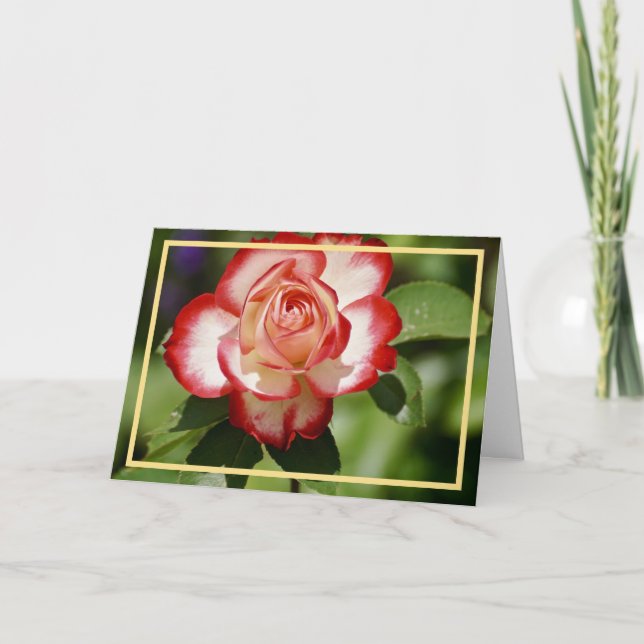 Elegant Modern Red Vit ros Flower Golden Ram Kort (Framsida)