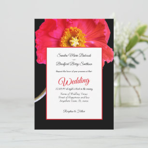 Elegant Modern Rosa Black Poppy Blommigt Bröllop