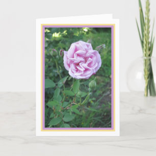 Elegant Modern Rosa Lila Ro Photo Guld Ram Kort