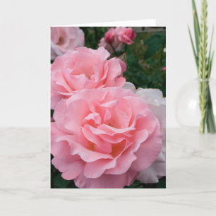Elegant Modern Rosa ros Flowers Photo Get well Kort