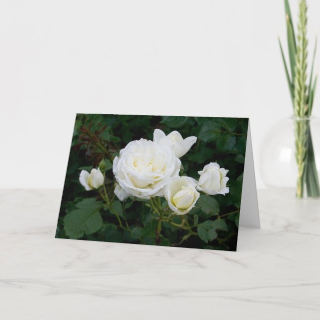 Elegant Modern Vit ros Flowers Photo Sympathy Kort (Framsida)