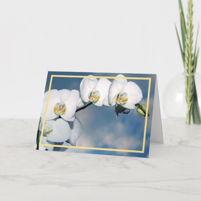 Elegant Modern White Orchids Flowers Golden Ram Kort (Framsida)