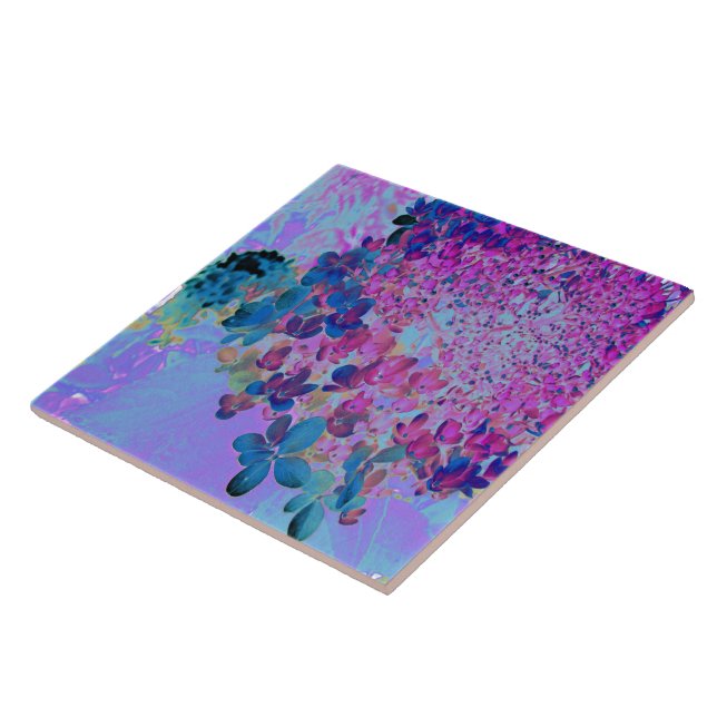 Elegant Mörk blått och Magenta Limelight Hydrangea Kakelplatta (Sidan)