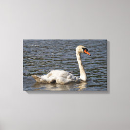 Elegant Mute Svanar vid Stanley Park Lagoon Canvastryck