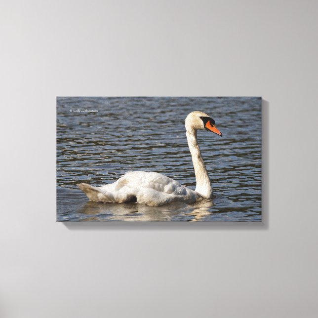Elegant Mute Svanar vid Stanley Park Lagoon Canvastryck (Framsida)