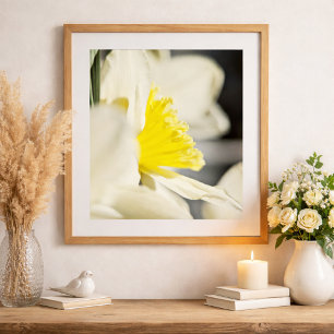 Elegant Narcissblomma Fotografi av Meggidoo Poster