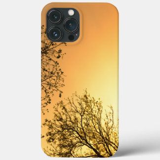 Elegant Natural Beauty