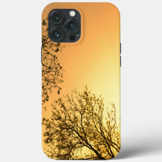 Elegant Natural Beauty