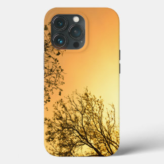 Elegant Natural Beauty