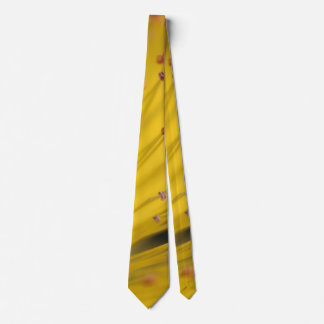Elegant Neck Tie - Classic Stil Slips