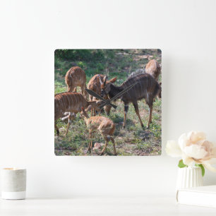 Elegant Nyala Antilop i Afrika Fyrkantig Klocka